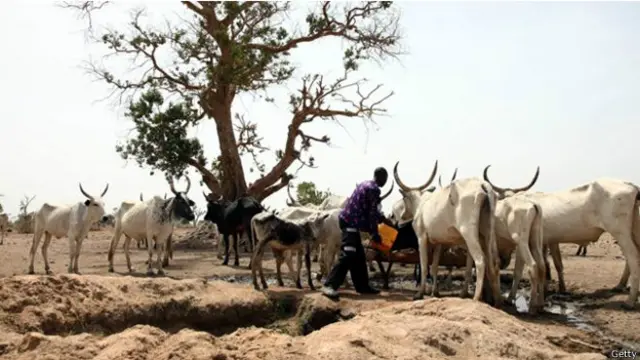 الخلافات حول حقوق الرعي تؤدي الى توتر بين النزارعين والرعاة