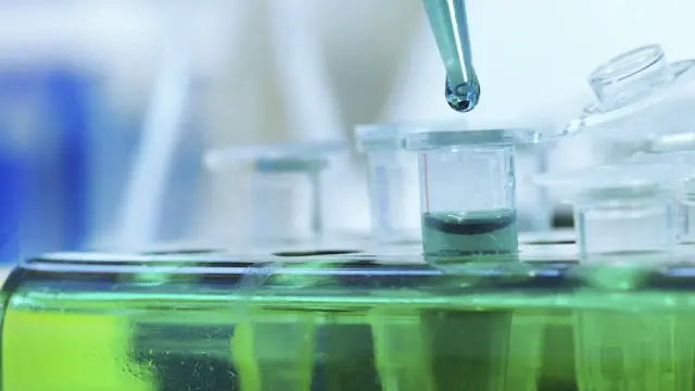 OMS admite que ainda pouco se sabe sobre outras formassite de aposta gusttavo limatransmissão do zika vírus