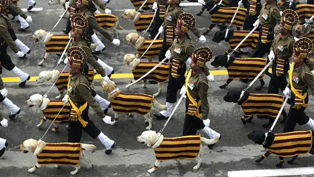 गणतंत्र दिवस पर दिल्ली के राजपथ पर परेड में हिस्सा लेते सेना के कुत्ते.