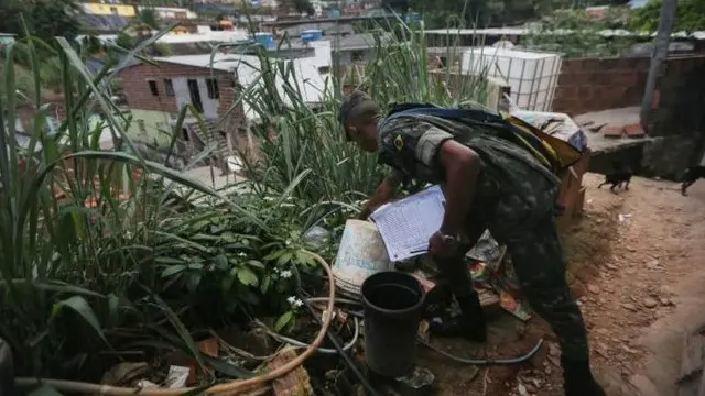 Бразилія кине військо проти комарів