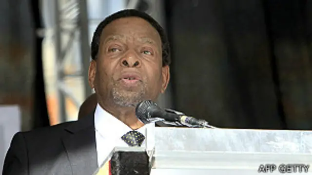 Rey zulú Goodwill Zwelithini