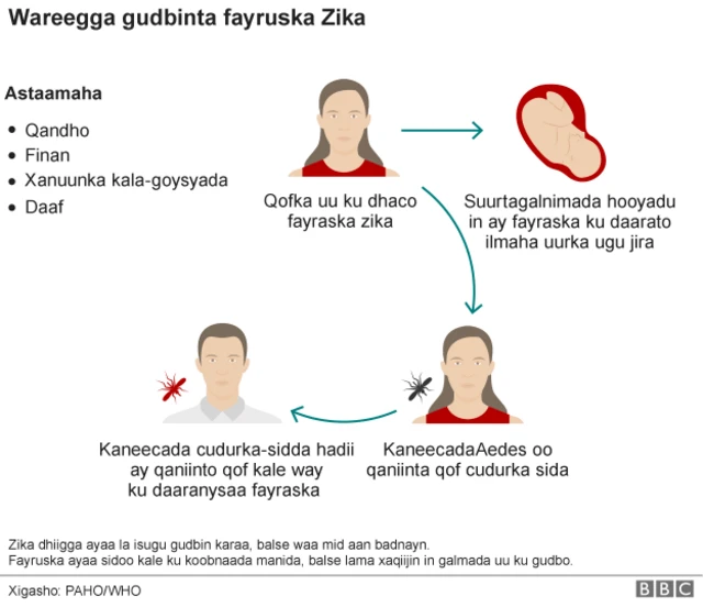 Yalangoch qizlar, eshaklarning yalangoch fotosuratlari Eng sochli geylar uchun jinsiy aloqa