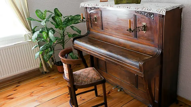 Домашнее растение рядом с пианино