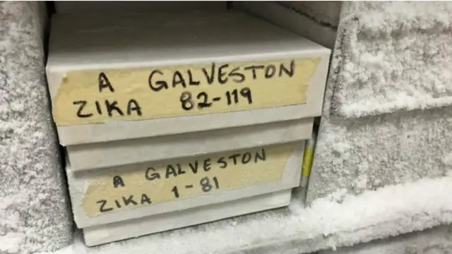 Penelitian untuk menemukan vaksin yang bisa mengatasi virus Zika tengah dilakukan di Galveston, Texas, AS.