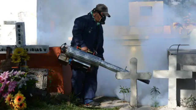 Обработка инсектицидами