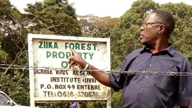 Aquí, en el bosque Zika de Uganda, se detectó por primera vez el virus.