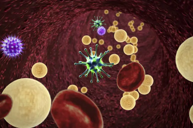 Бактерии в кишечнике