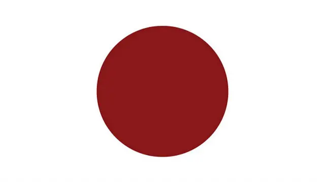 Единственный недостаток этого флага состоит в том, что он почти в точности повторяет флаг нашей земной Японии