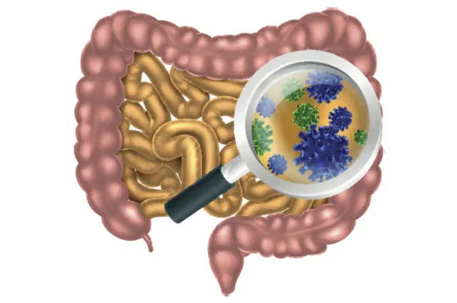 Кишечная микробиота
