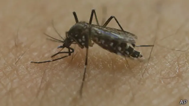 El "especiecidio" es el juego de palabra de especie y homicidio.