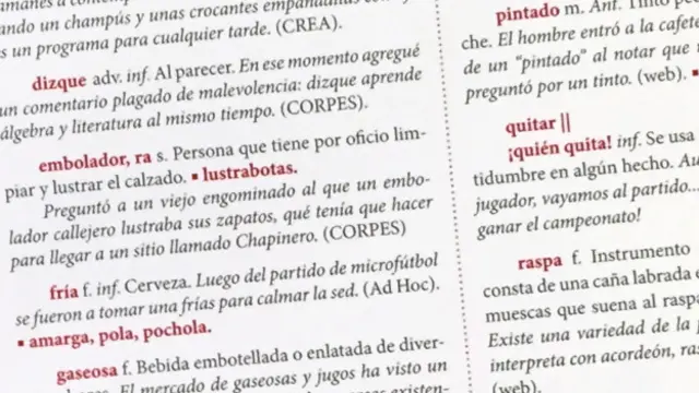 Diccionario colombianismos