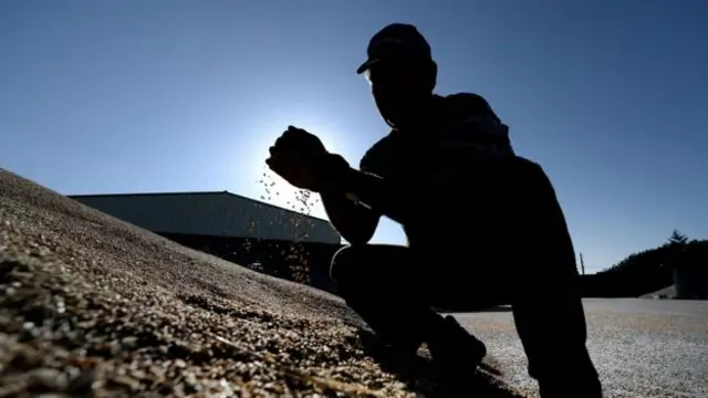  农作物可以转移和适应，但也有极限范围(图片来源：Getty Images)