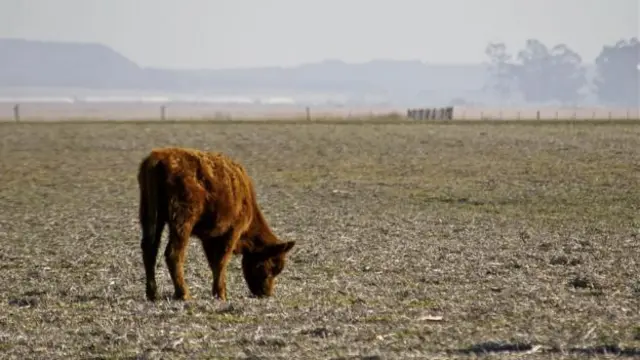 全世界约有4%的农田每年都会经历干旱，但这一比例到本世纪末大约会增加到18%(图片来源：Thinkstock)
