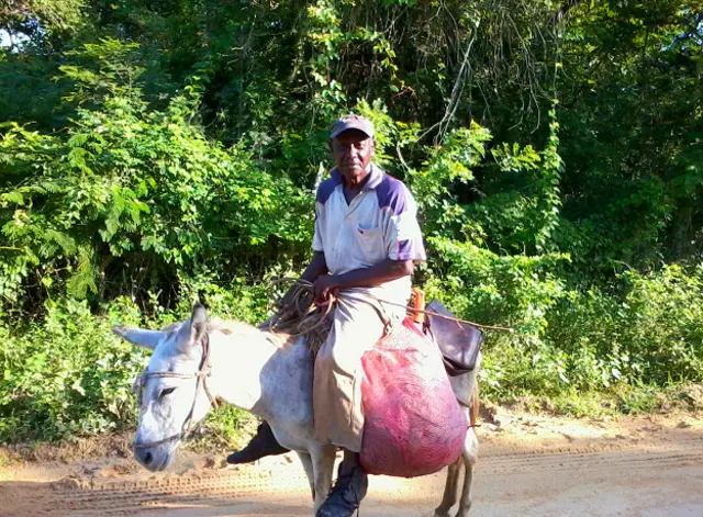 Foto de un lector de BBC Mundo sobre la vida rural