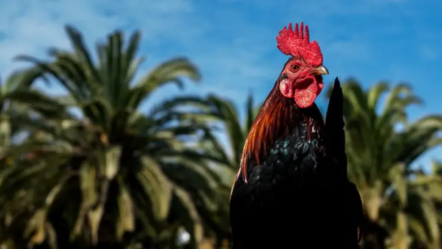 Foto de un lector de BBC Mundo sobre la vida rural
