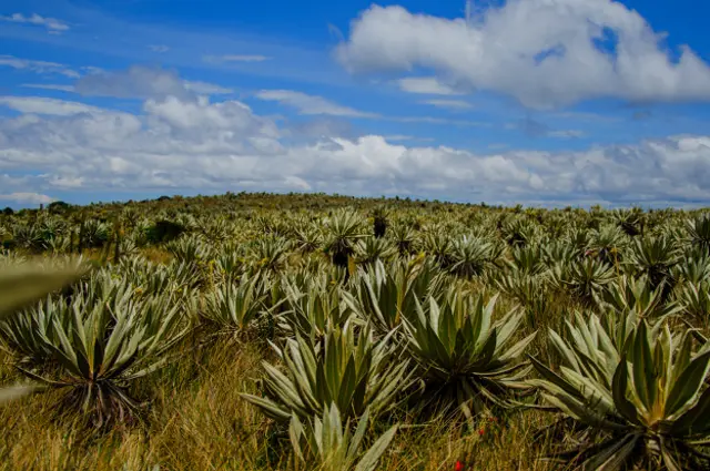 Foto de un lector de BBC Mundo sobre la vida rural