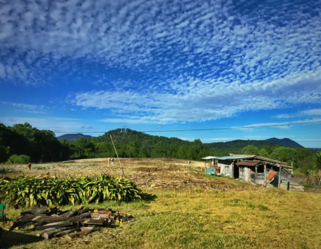 Foto de un lector de BBC Mundo sobre la vida rural