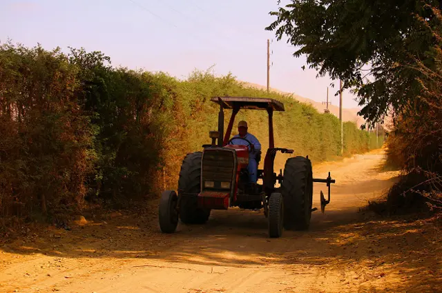 Foto de un lector de BBC Mundo sobre la vida rural