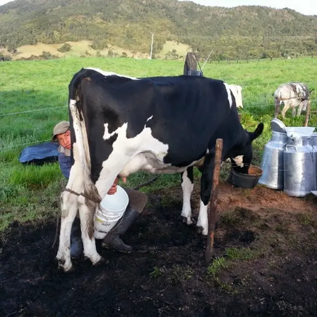 Culminamos nuestra selección con esta foto que Emilio Carcamo (@emcartro) compartió con nosotros a través de Instagram. Si tienes una cuenta allí te invitamos a darte una vuelta por las colecciones que cada semana creamos junto a nuestros lectores.