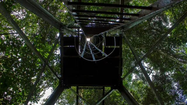 El bosque de Zika es propiedad del Instituto de Investigación de Virus de Uganda.