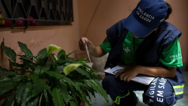 السلطات البرازيلية تقود حملة للقضاء على البعوض الذي ينقل فيروس زيكا