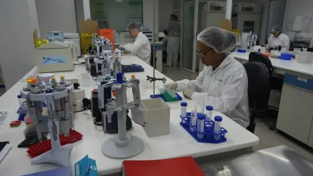 العلماء في معهد بوتانتان في ساو باولو يركزون جهودهم على الدفتيريا لاكتشاف لغز زيكا