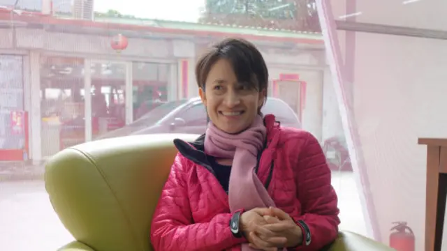 台湾民进党的萧美琴