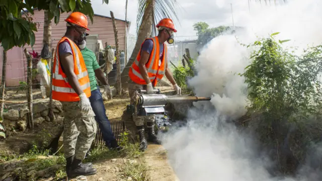 Уничтожение комаров