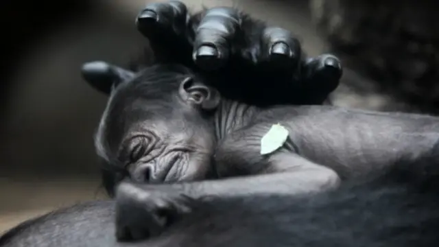 所有人都想睡个好觉