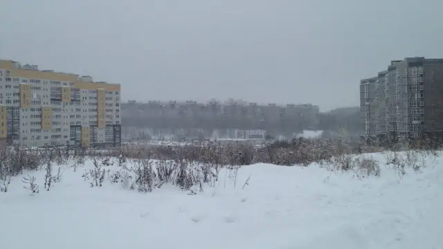 Зимний пейзаж