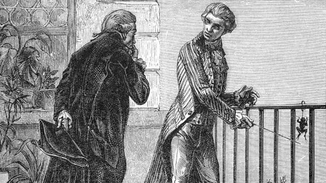 Galvani fue todo un pionero. El Galvanismo es la teoría de que el cerebro de los animales produce electricidad que es transferida por los nervios, acumulada en los músculos y disparada para producir el movimiento de los miembros.