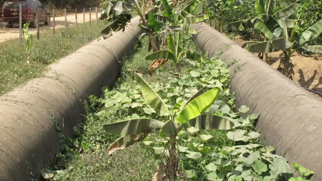 Tubos de agua que salen de Cachinche