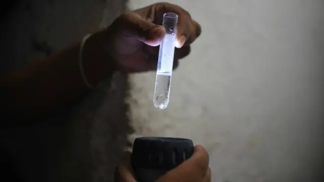 Vírusbonus de cassinomodo ativo foi identificadobonus de cassinoamostras por instituto brasileiro