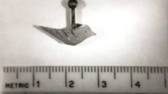 Un zarcillo fue hallado en la escena del crimen