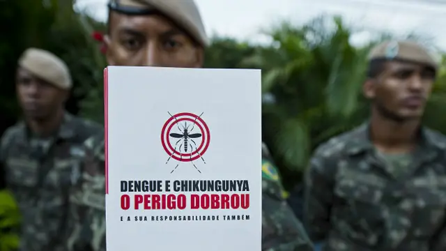 Aedes Aegypti, el mismo mosquito que transmite dengue, zika y chikungunya