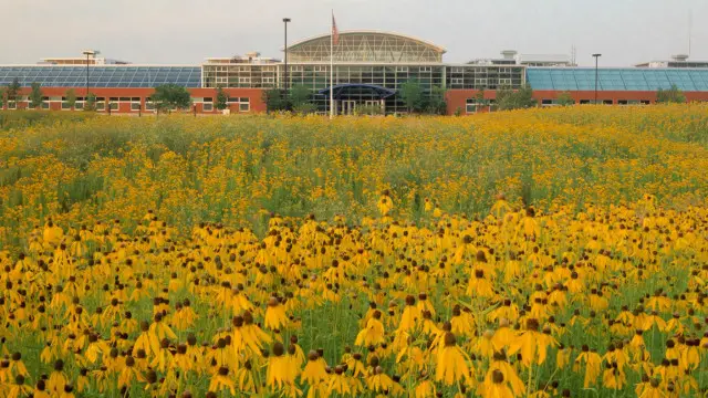 تمكنت شركة "هيرمان ميلر" من إنشاء مصنعها "غرينهاوس" الصديق للبئية
