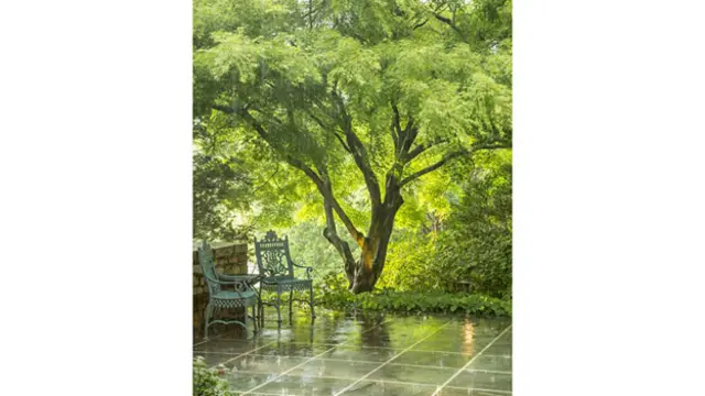 Patio en un jardín en Maryland