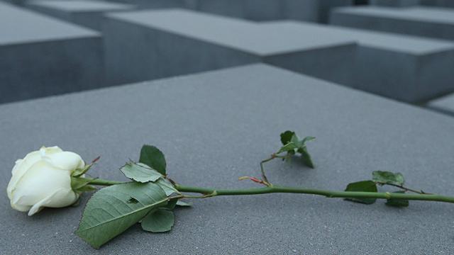 Una rosa en el Museo del Holocausto en Berlín. El lema es "Nunca olvidar", pero eso no asegura que nunca se repita.