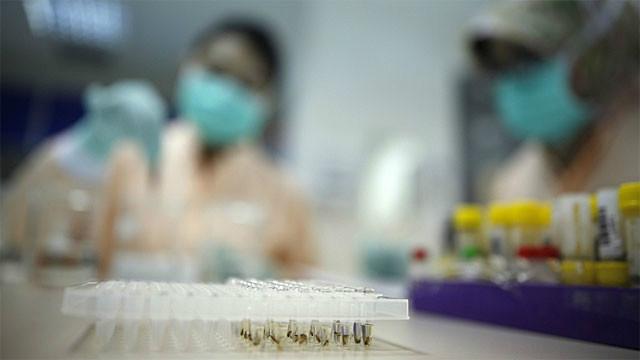 A polêmica do envio de amostras brasileiras de zika vírus ao exterior