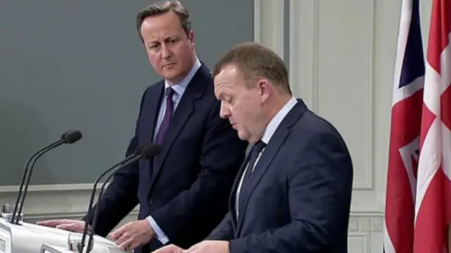 卡梅伦与丹麦首相拉斯穆森