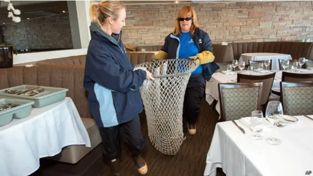 نقلت الفقمة الى عالم البحار