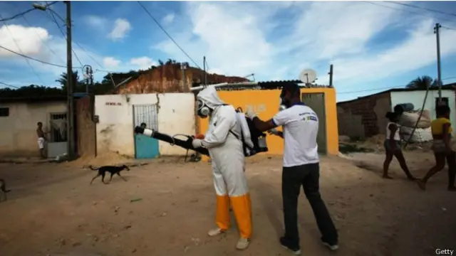 برازیل میں آئندہ ہفتے سے زکا وائرس پھیلانے والے مچھروں کے خلاف بڑے پیمانے پر مہم شروع کی جا رہی ہے 