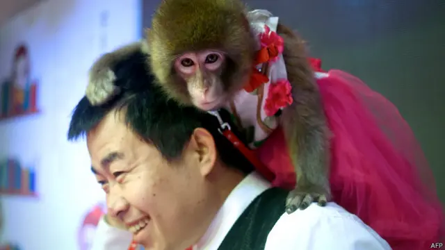 चीन में साल 2016 को 'बंदर के सालट के तौर पर माना जा रहा है. 