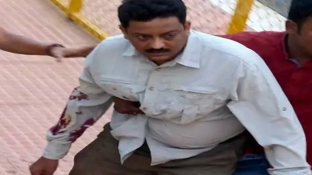 أحد خبراء البيئة وموظف في إدارة الغابات من بين المصابين الستة في المواجهة مع الفهد