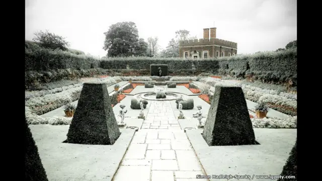 حدائق بوند ، هامبتون كورت، جنوب غربي لندن، بريطانيا، المصور سيمون هادلي-سباركس، وصلت للنهائي.
التصميم وبساطة الألوان سر جمال هذه الصورة، فاللون الآحادي مع مسحة الدفء التي يضفيها على اللون الأبيض يجعلها تظهر بشكل جيد.