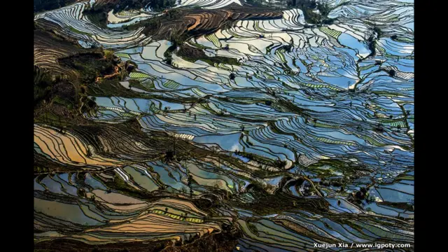 الأرض الخلابة، يوينان، الصين، للمصور شويجين تشيا، وفازت بالمركز الأول.
ربما تكون هذه الصورة هي الأجمل على الإطلاق هذا العام في المجموعة، وهي من نوعية الصور التي يستخدم فيها التصويرلإثارة الخيال، وتعكس أيضا تأثير البشر على البيئة الطبيعية.