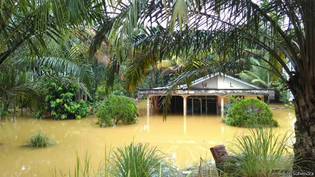 Banjir mengepung rumah-rumah di Kecamatan Pangkalan, Kabupaten Lima Puluh Kota.