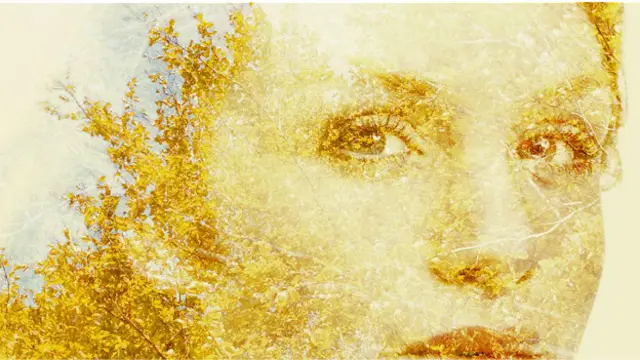 Лицо женщины, полустертое изображение