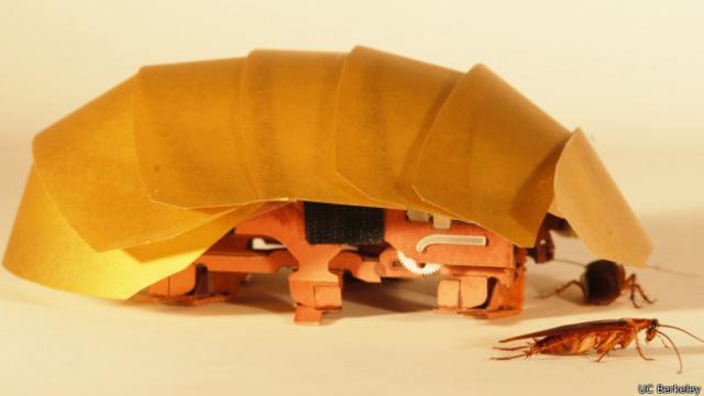 Cucaracha robot