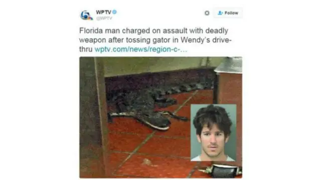 ٹی وی چینل نے پولیس کی طرف سے لکھی جانے والی واقعے کی رپورٹ سے مگر مچھ کی تصویر اپنے ٹوئٹر اکاؤنٹ پر شیئر کی